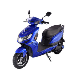 INDIGO-ES-1007